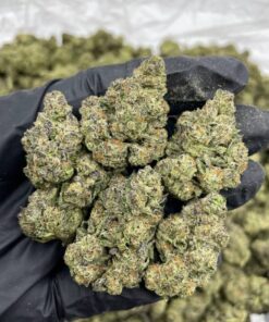 Grape Gobstopper Kush
