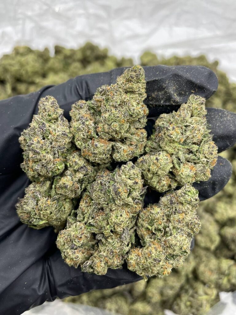 Grape Gobstopper Kush