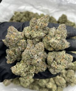 Frosty Toad Candy
