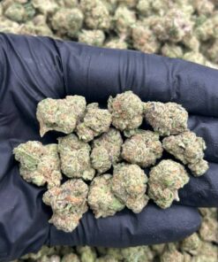 Blue Gushers