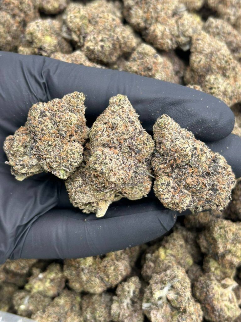 Blue Candy Runtz