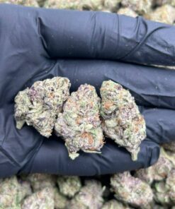Grape Candy Punch
