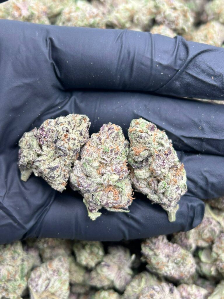Grape Candy Punch