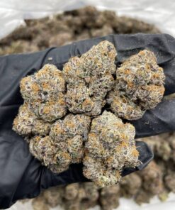 Blue Altoidz