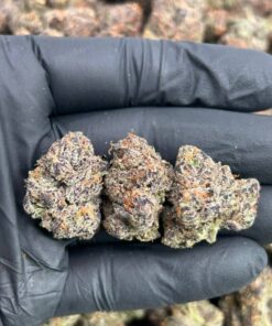 Candy Gelato