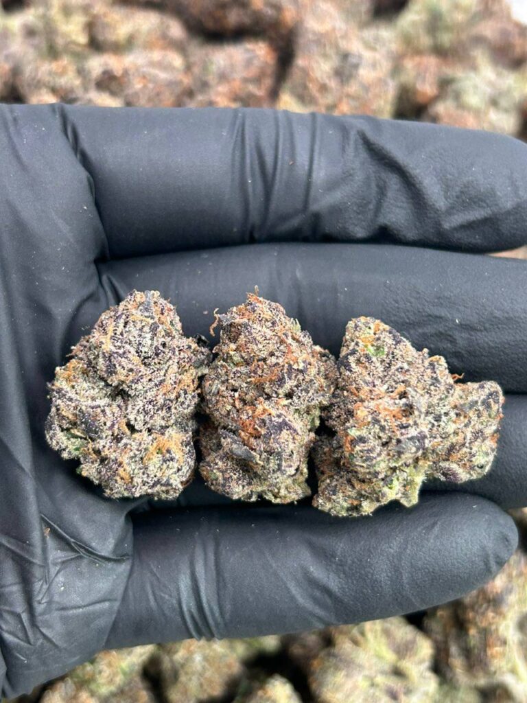 Black-Berry Runtz - Image 3