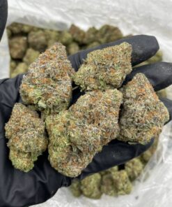Sour Patch