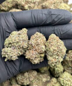 Cookies and Cream
