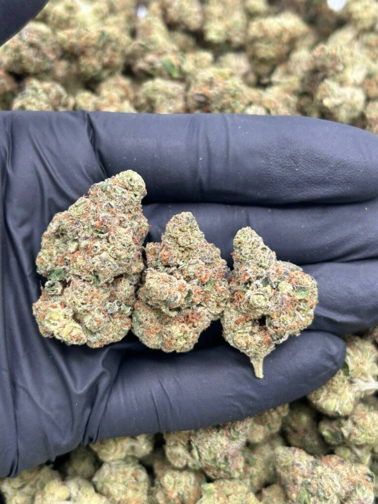 Biscotti