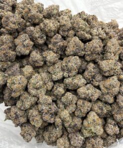 Black Cherry Gelato