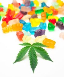 Edibles/ShrooBars