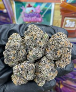 Sweetz Exotics
