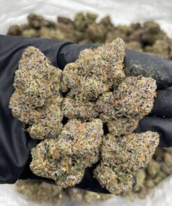 Purple Widow