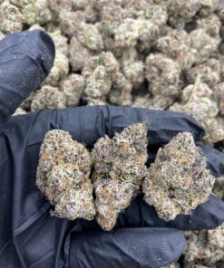 Zeus OG