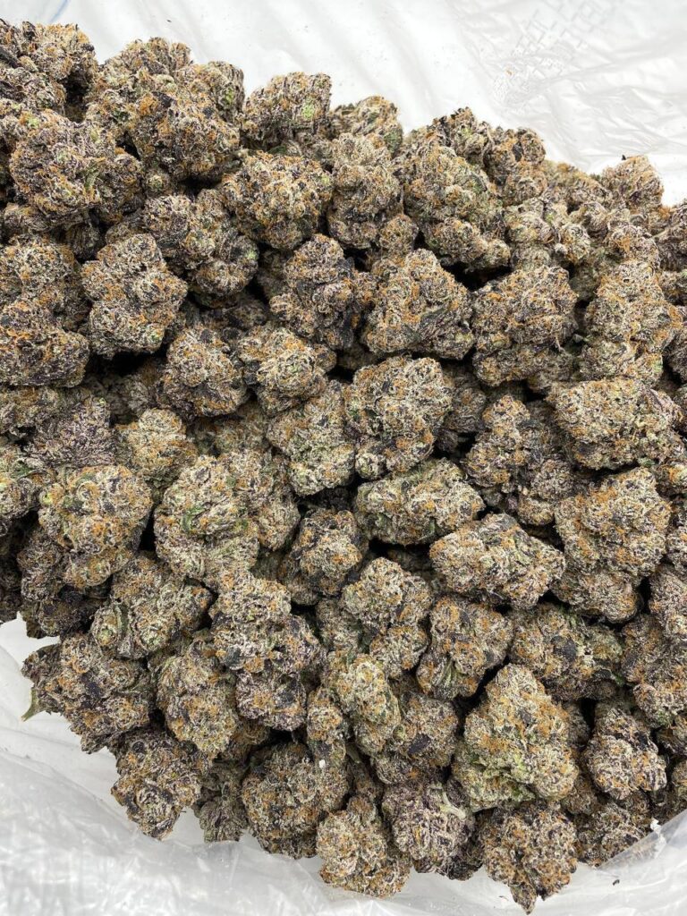 Purple Widow - Image 2