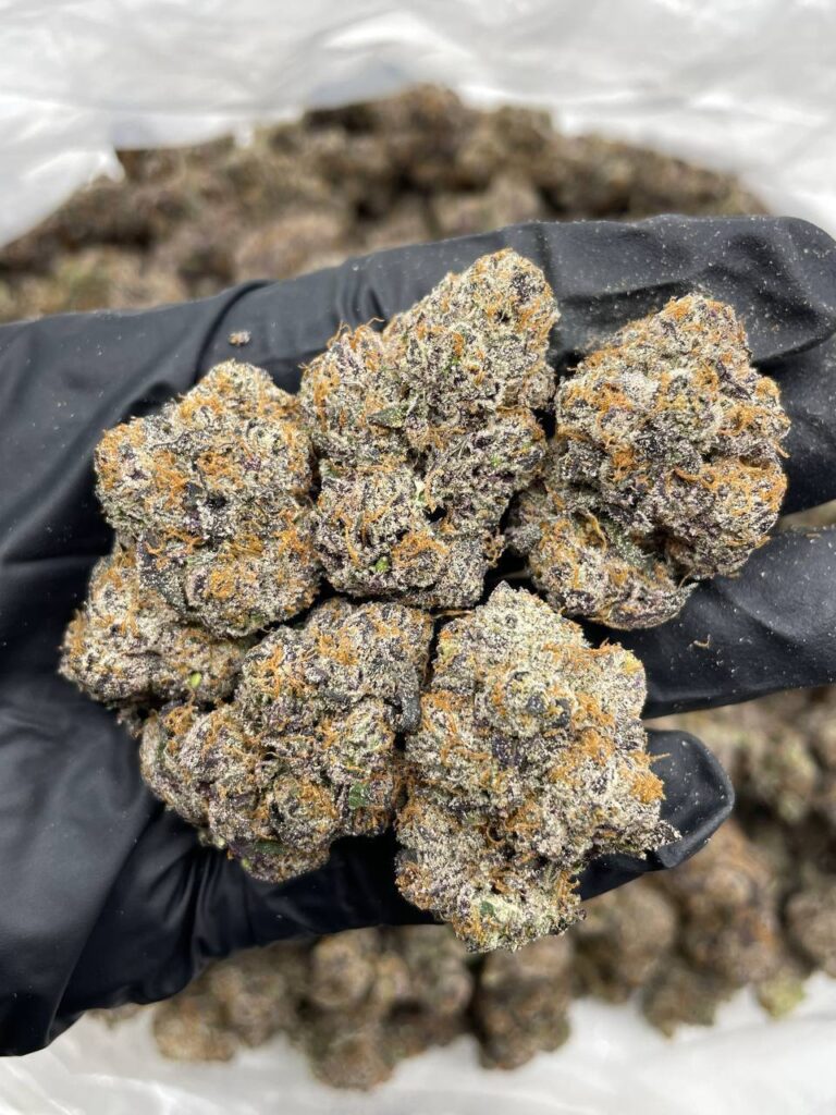 Purple Push Pop