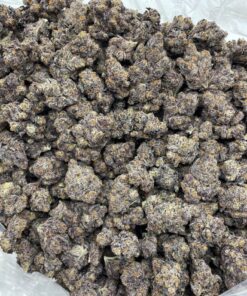 Alternative view of Mega Nightshade