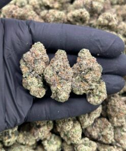 Pink Bubble Gum