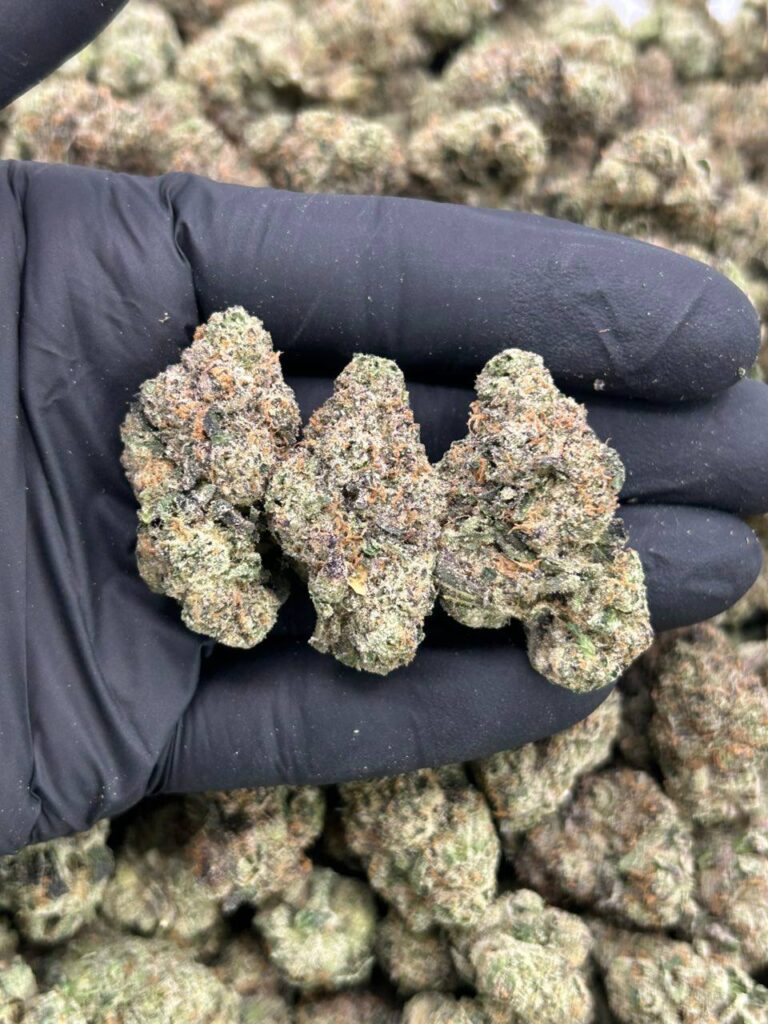 Pink Bubble Gum