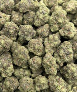 Alternative view of Purple Gruntz