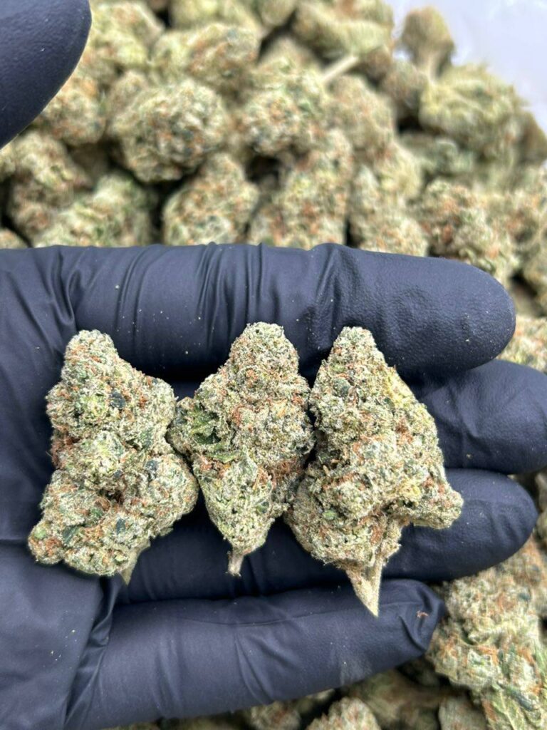 White Widow