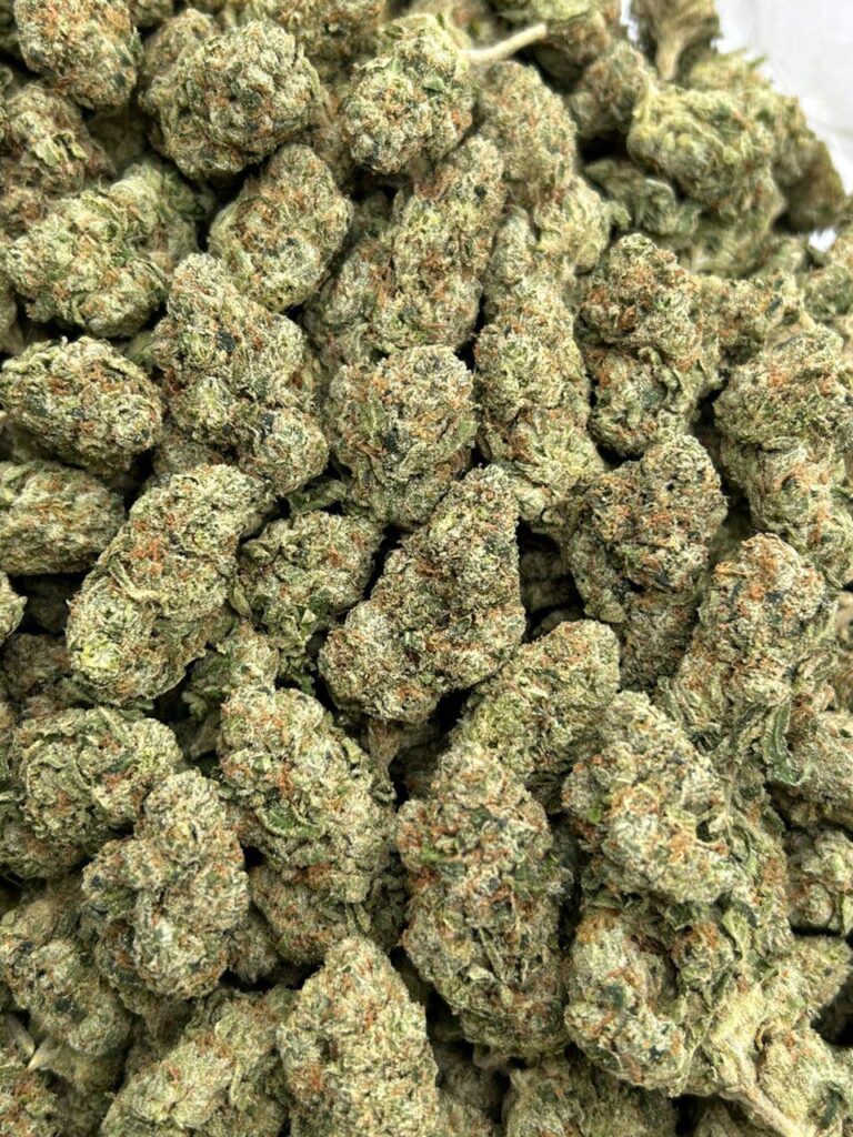 Sugar Candy - Image 2