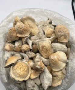 Psychedelics