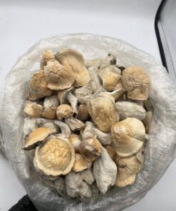 Alternative view of APE MUSHROOMS