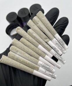 Jungle boys pre rolls
